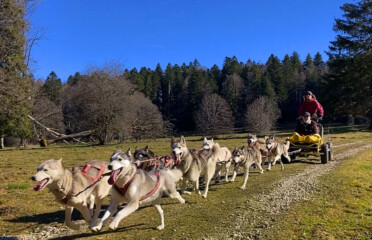 🐶 Jura Escapades – Les Bois