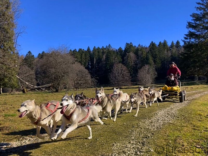 Jura Escapades, Les Bois