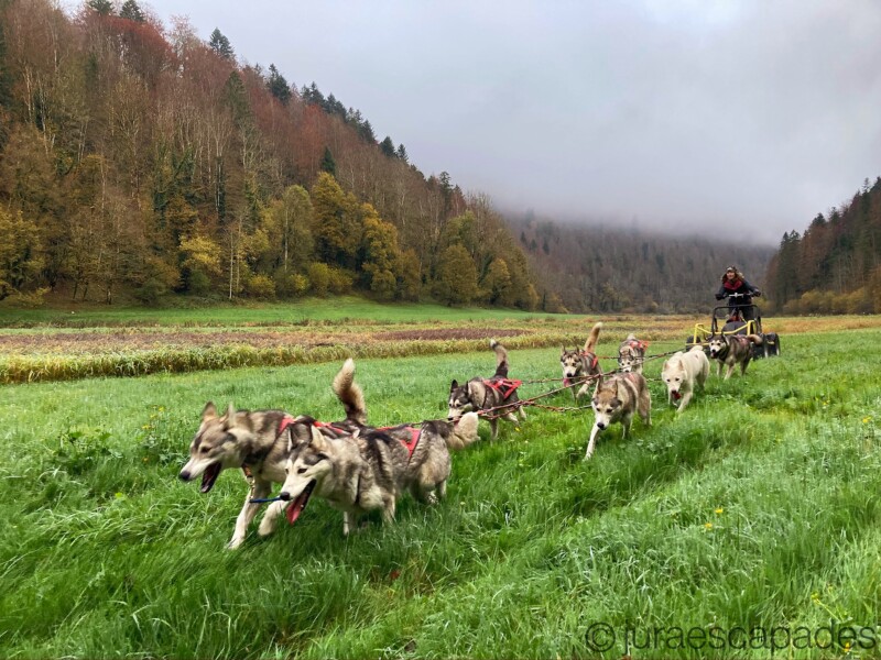 Jura Escapades, Les Bois