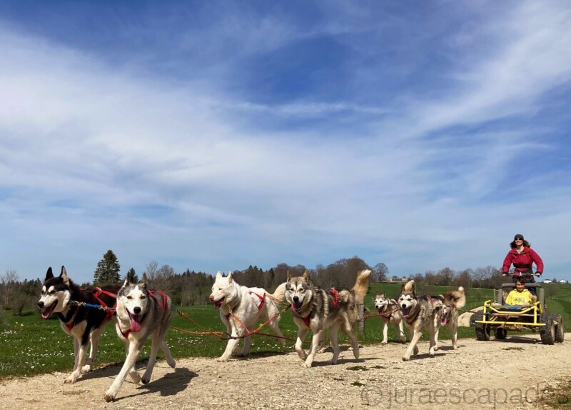 Jura Escapades, Les Bois