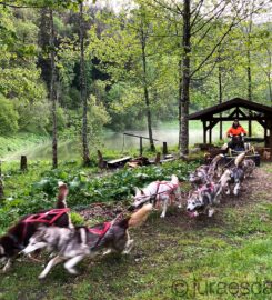 🐶 Jura Escapades – Les Bois