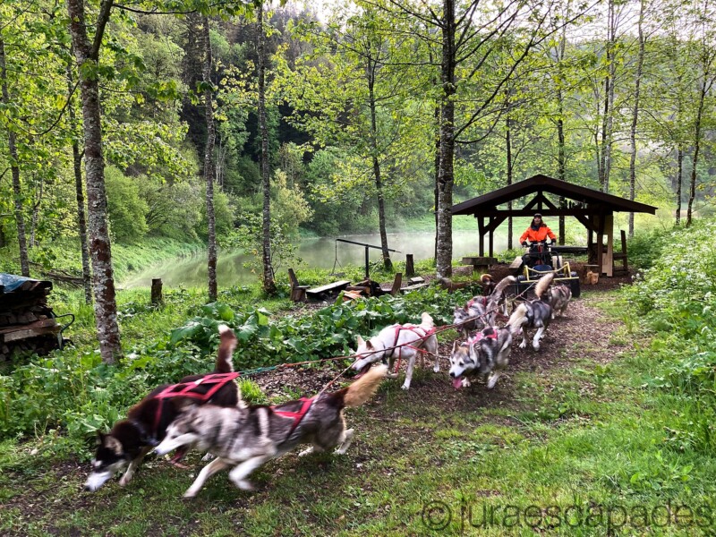 Jura Escapades, Les Bois