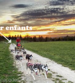 🐶 Jura Escapades – Les Bois