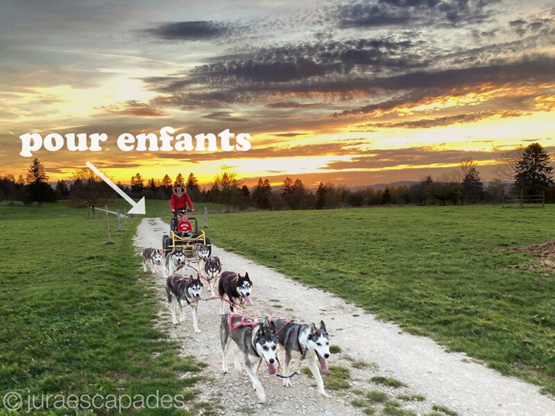 Jura Escapades, Les Bois