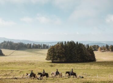 🐶 K-Pretty Ranch – Val-de-Travers