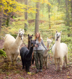 🐶 Lampaga – Romainmôtier