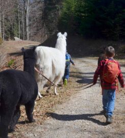🐶 Lampaga – Romainmôtier