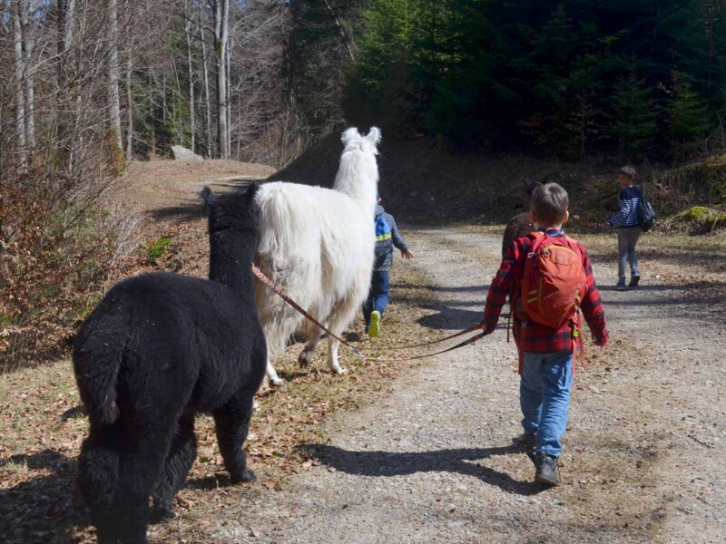 Lampaga - Romainmôtier