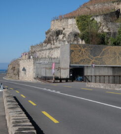 🍔 Lavaux Vinorama – Puidoux