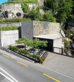 🍔 Lavaux Vinorama – Puidoux