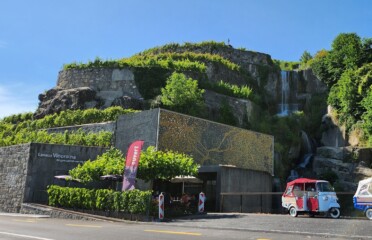 🍔 Lavaux Vinorama – Puidoux