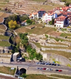 🍔 Lavaux Vinorama – Puidoux