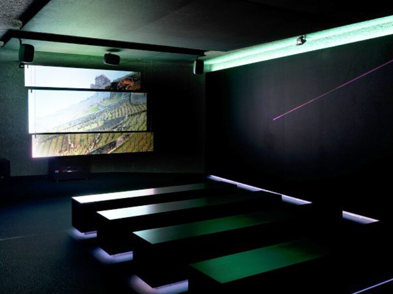 Lavaux Vinorama, Puidoux