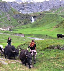 🐶 Yak’à’Oser – Crans-Montana