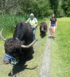 🐶 Yak’à’Oser – Crans-Montana