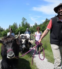 🐶 Yak’à’Oser – Crans-Montana