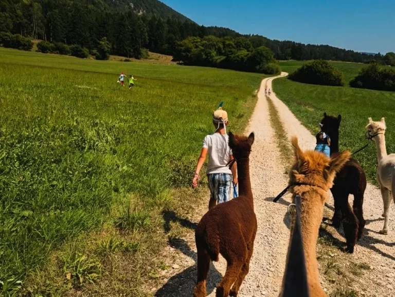 zoa 3 e1774806319767