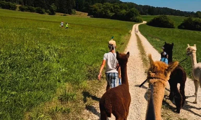 🐶 Zoa – Balades avec Alpagas – Loveresses