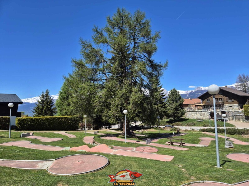 Minigolf de Vercorin, Valais central