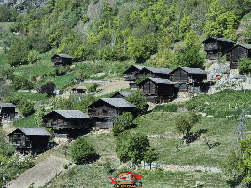 Vallon de la Fare