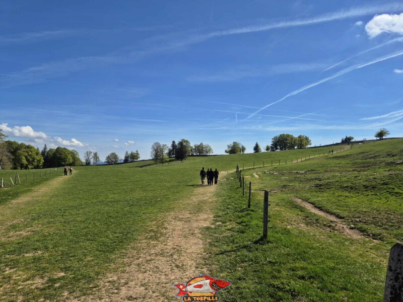 Le parcours débute sur la gauche de l'image et rejoint en quelques minutes les falaises du Creux du Van.