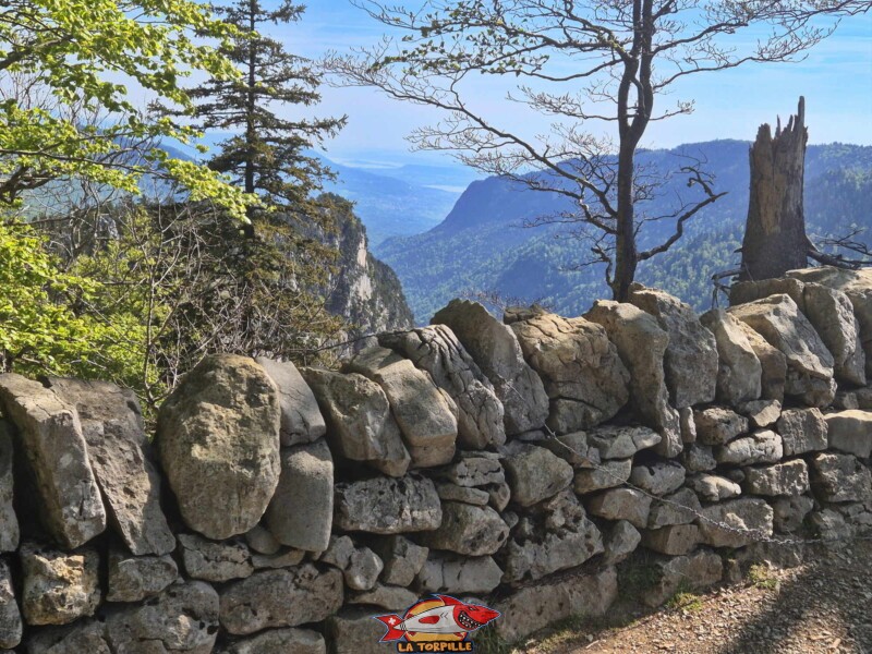 Le mur en pierres sèches le long des falaises. Creux du Van