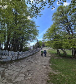🍃 Cirque Rocheux du Creux du Van