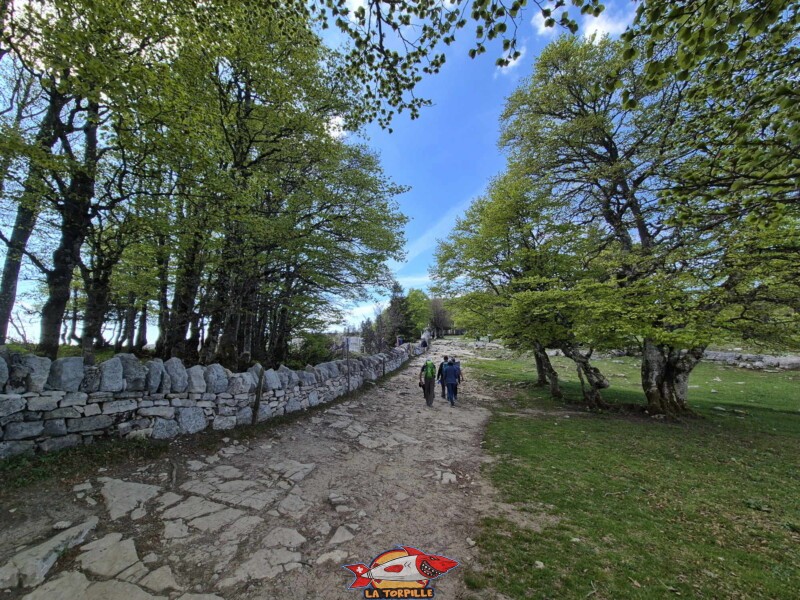 Chemin, Creux du Van