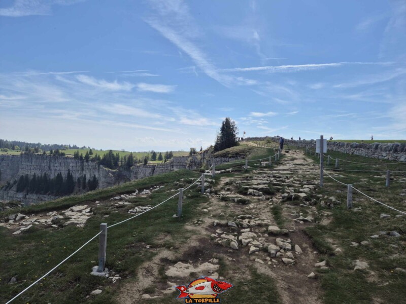 Chemin du Creux du Van