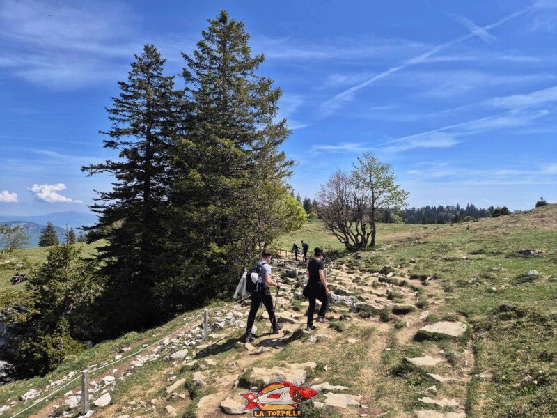 Chemin du Creux du Van