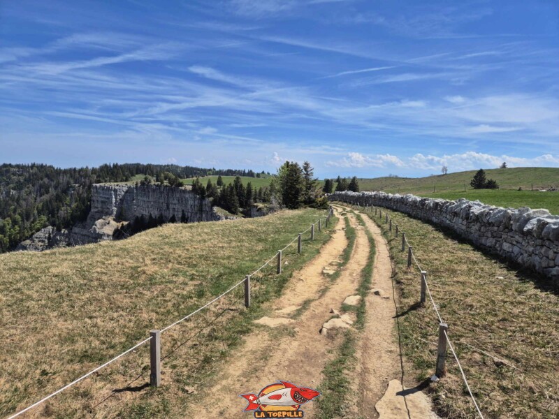 Les petites barrières entre entre le mur en pierre et le bord de la falaise.