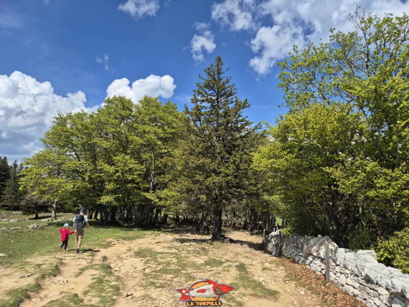 Chemin, Creux du Van