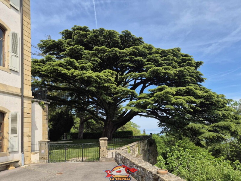 jardin de la Maison de maître, château de Vaumarcus, canton de Neuchâtel