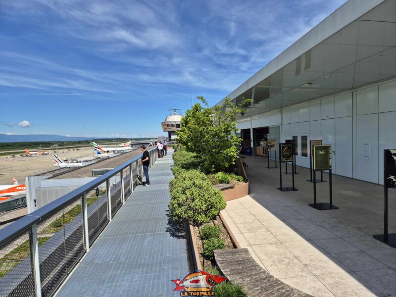 Les photos de la zone sud de la terrasse panoramique. Terrasse Panorama, Terrasse panoramique de l'aéroport de Genève.