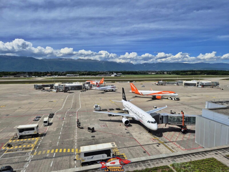 Quelques photos du tarmac, la zone de circulation et de stationnement des avions dans l'aéroport. Terrasse Panorama, Terrasse panoramique de l'aéroport de Genève.