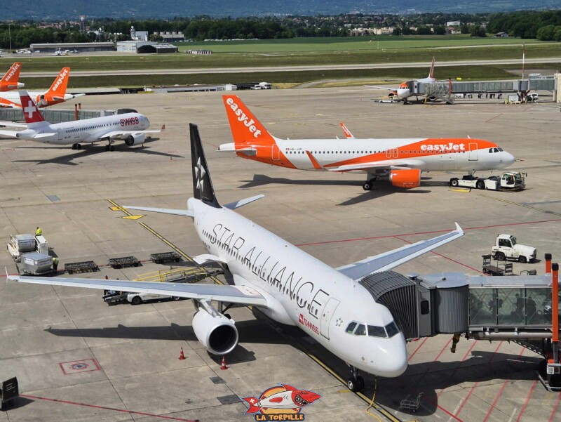 Quelques photos du tarmac, la zone de circulation et de stationnement des avions dans l'aéroport. Terrasse Panorama, Terrasse panoramique de l'aéroport de Genève.