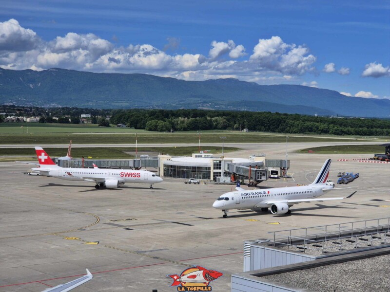 Quelques photos du tarmac, la zone de circulation et de stationnement des avions dans l'aéroport. Terrasse Panorama, Terrasse panoramique de l'aéroport de Genève.