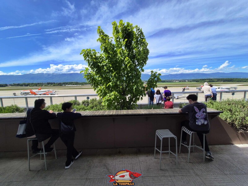 La buvette de la Terrasse Panorama. Terrasse Panorama, Terrasse panoramique de l'aéroport de Genève.