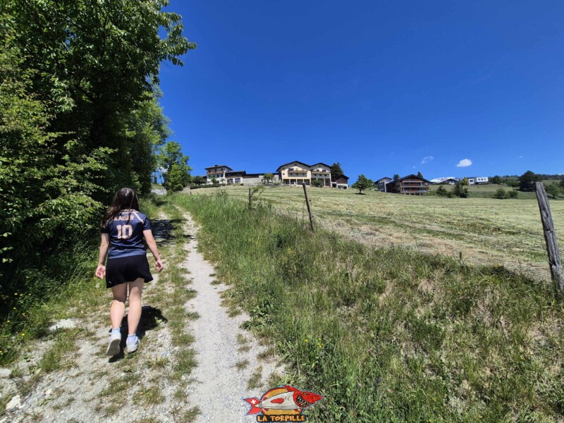 La très forte montée avec, en arrière-plan, les premières maisons du village de Lens. Grand bisse de Lens, Valais central. La très forte montée avec, en arrière-plan, les premières maisons du village de Lens. Grand bisse de Lens, Valais central.