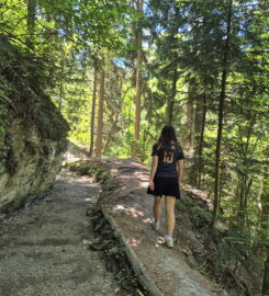 🏞️ Grand Bisse de Lens