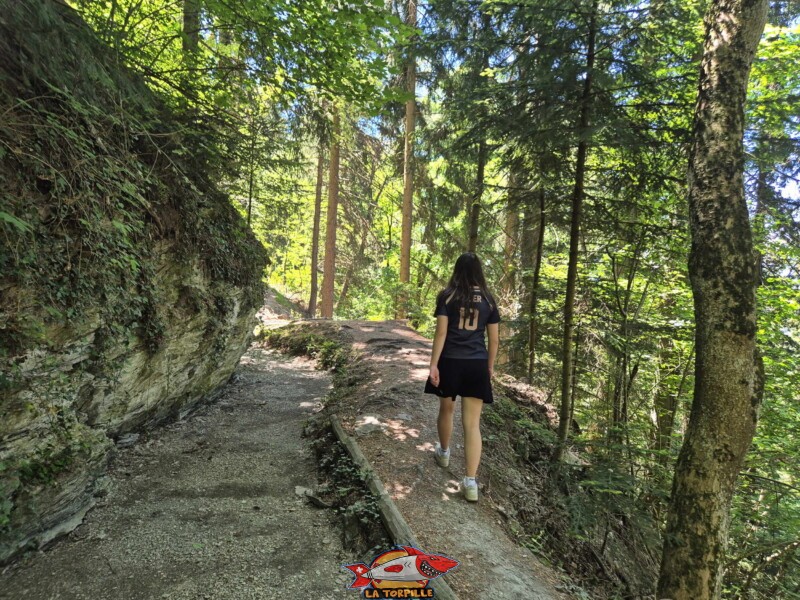 Le bisse dans la forêt. Grand bisse de Lens, Valais central.