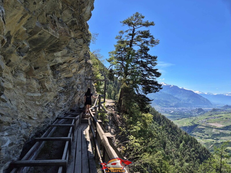 Zone vertigineuse. Grand bisse de Lens, Valais central.