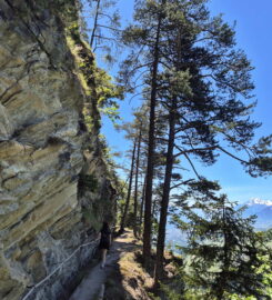 🏞️ Grand Bisse de Lens
