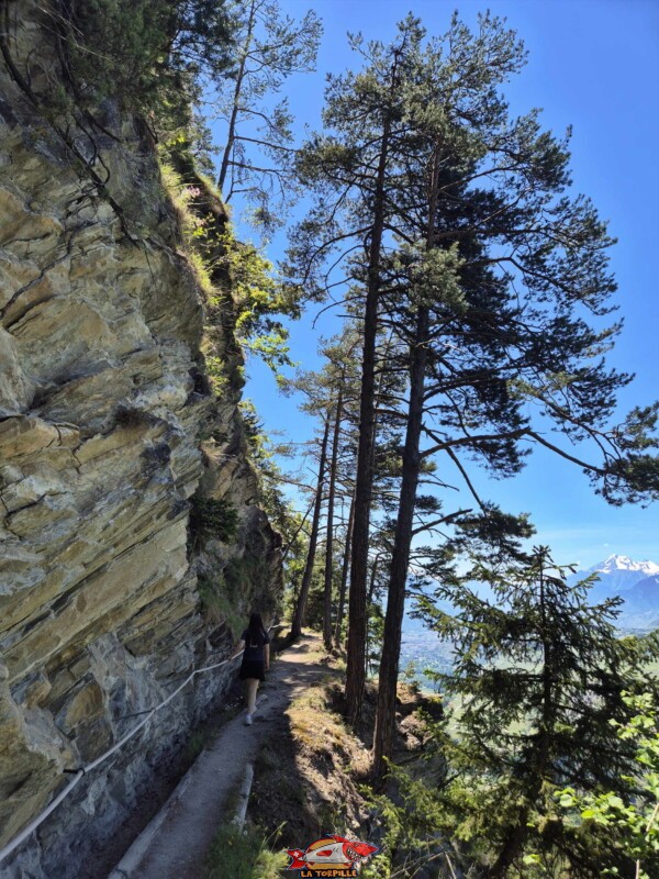 Zone vertigineuse. Grand bisse de Lens, Valais central.