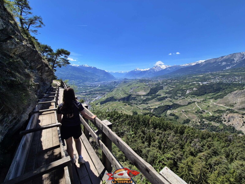 Zone vertigineuse. Grand bisse de Lens, Valais central.