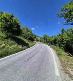 🏞️ Grand Bisse de Lens
