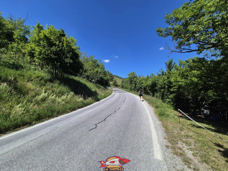 Les derniers pas avant de rejoindre le parking et la voiture ! Merci, fier de toi ! Grand bisse de Lens, Valais central. Les derniers pas avant de rejoindre le parking et la voiture ! Merci, fier de toi ! Grand bisse de Lens, Valais central.