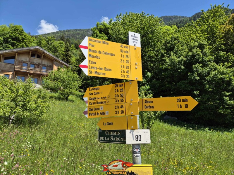 Un panneau indicateur qui indique les différents lieux atteignables à pied. Il est possible de redescendre à pied à Dorénaz en un peu plus d'une heure. Un panneau indicateur qui indique les différents lieux atteignables à pied. Il est possible de redescendre à pied à Dorénaz en un peu plus d'une heure. Téléphérique DAC Dorénaz – Alesse – Champex