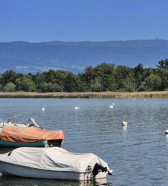🏖️ Plage du Camping Muntelier