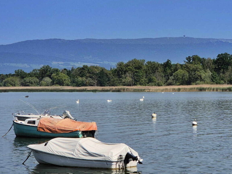 Le zoom sur le Chasseral et son antenne sur la droite de l'image. Plage du Camping Muntelier, région Morat.